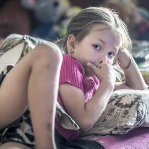 ����: ������