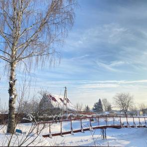 ����: ��������