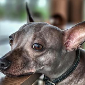 ���� ��������: ������