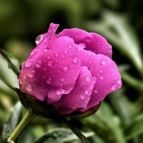 ����: ����