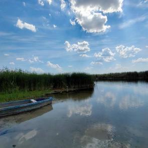 ����: ���� �����