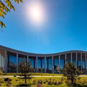 ���� ��������: ����� ������ ����� ������ �����