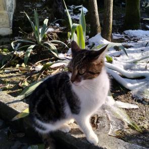 ����, �����, ������ 