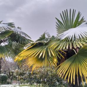 ����: ������ � ����� 