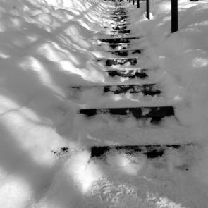 ����: �������� ����