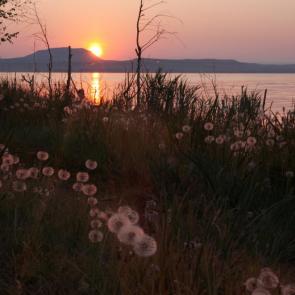 ����: ������ � ������������