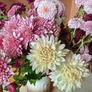 ����: ������� �����