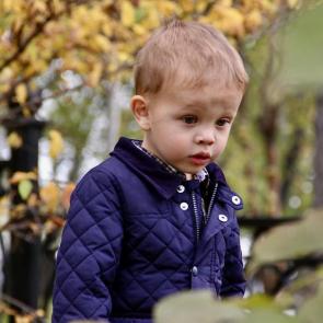 ����: ������� ��������� 