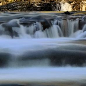 ����: ������