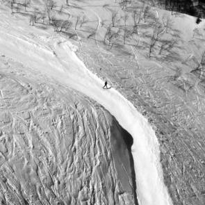 ����: ������