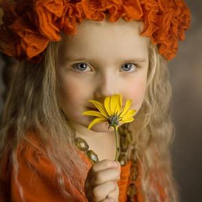 ����: ��������