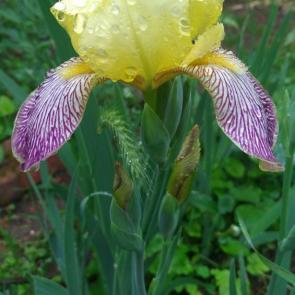 ���� ��������: ����� �����...