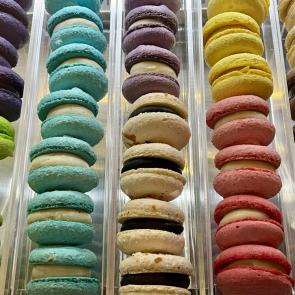 ����: ����� ��������