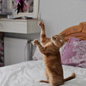 ����: � ���� �����