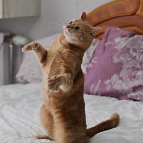 ����: �� ������ �� ��� �����!