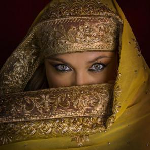 ����: ��������� ������