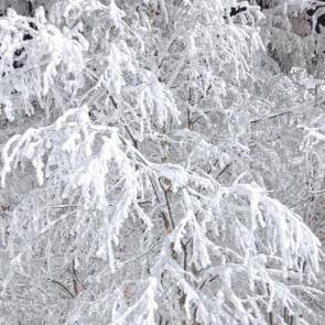 ���� ��������: ������� � ��������