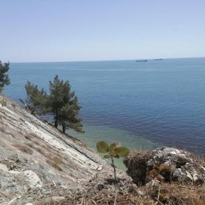 ���� ��������: �� ���� �����