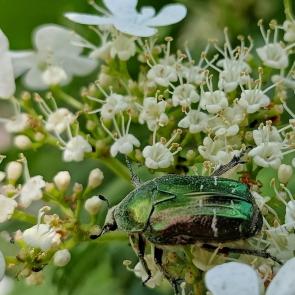 ����: ��������� ����������