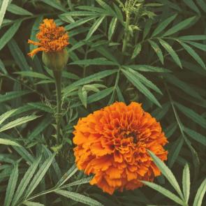 ����: ��������� ���� � ������ ������