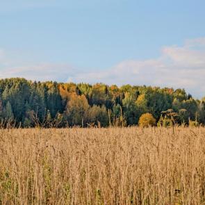 ����: ������� ���������