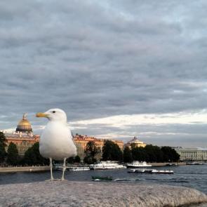 ������� ����