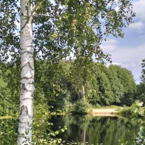 ����: ������ ��� ����� 