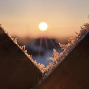 ����: �����