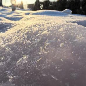 ���� ��������: 