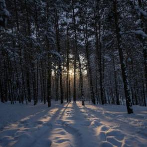 ����: �� ������