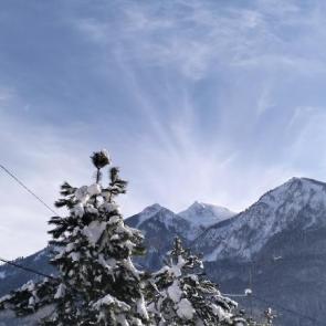 ����: ��� �� ���� 