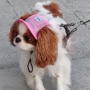 ����: � � �������
