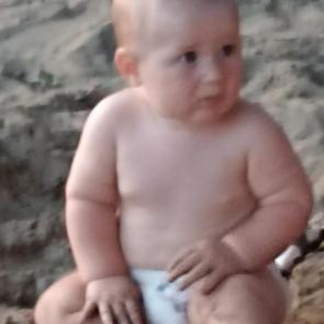 ����: ��������