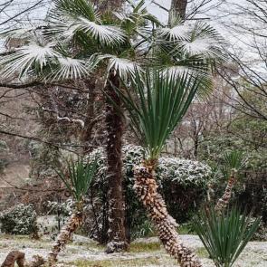 ����: ���� � ����