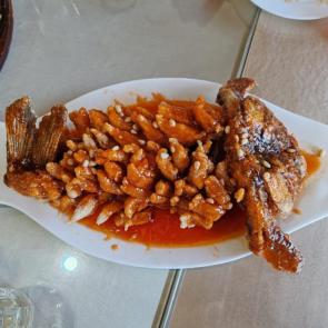 ���� ��������: ����� ��������