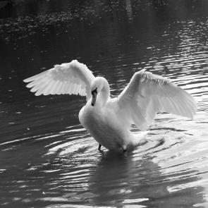 ����: ����� ������