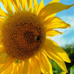 ����: �� ��������