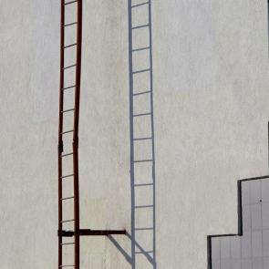 ����: ������ 