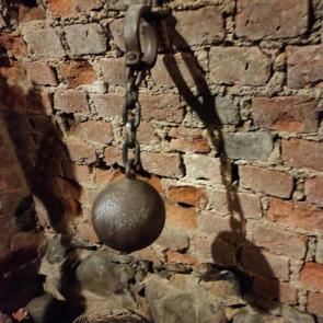 ����: ����� ����������