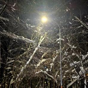 ���� ��������: ������ ������