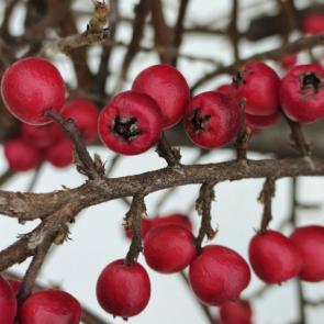 ����: �������� �����