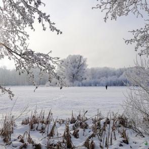 ����: �������...