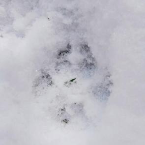 ����: ���� �� �����