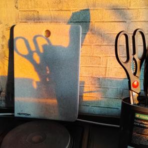 ����: �������