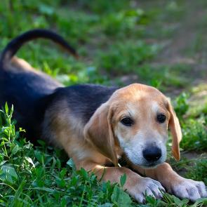 ����: ����� ������� ������