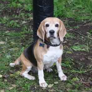 ����: �����