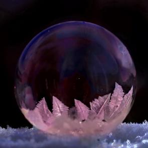 ����: ����� ������. 