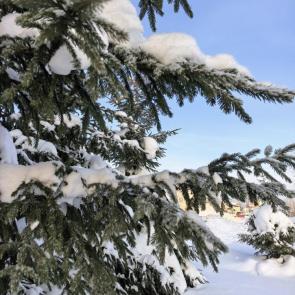 ����: ���� 