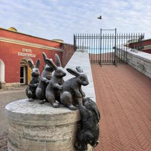 ����: ���������