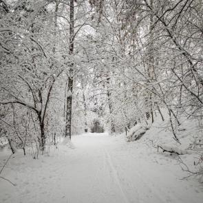 ���� ��������: ������� �������